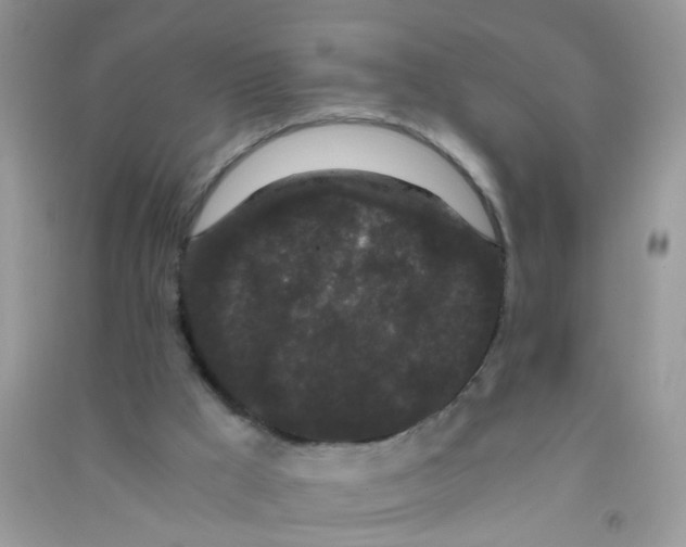 X0000090720009200708171936