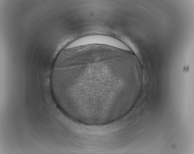 X0000090720010200708171936