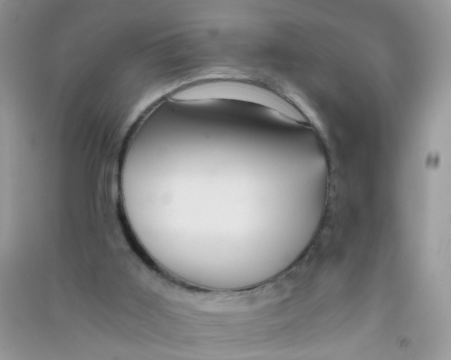 X0000090720011200708171936