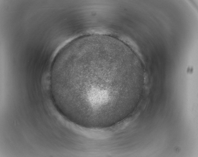 X0000090720012200708171936