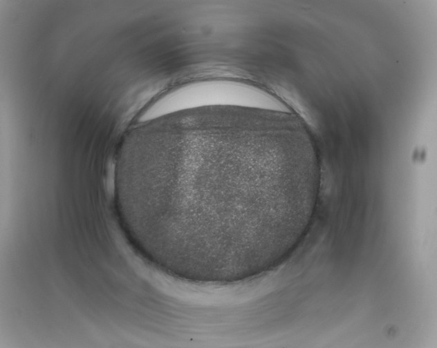 X0000090720014200708171936