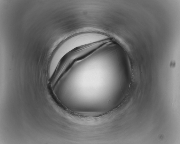X0000090720015200708171936