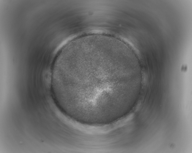 X0000090720016200708171936