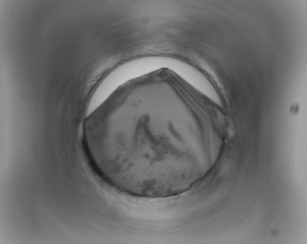 X0000090720019200708171936