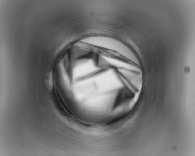 X0000090720020200708171936