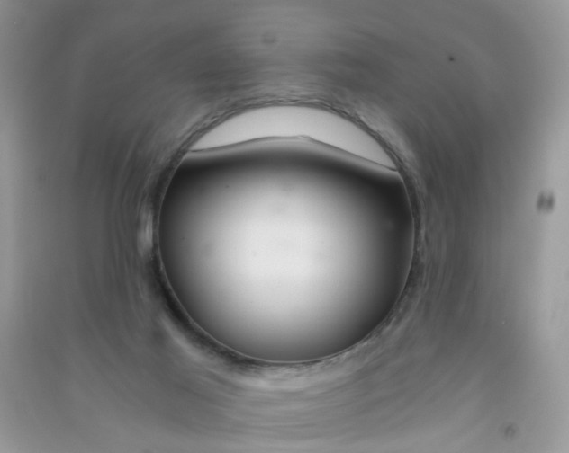 X0000090720021200708171936