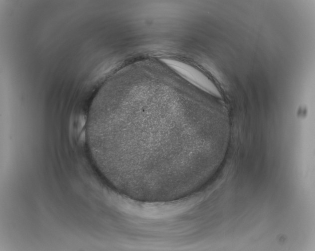 X0000090720022200708171936