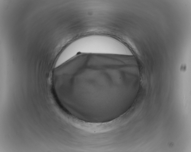 X0000090720023200708171936
