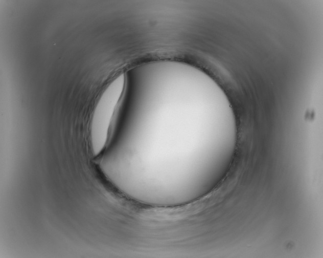 X0000090720025200708171936