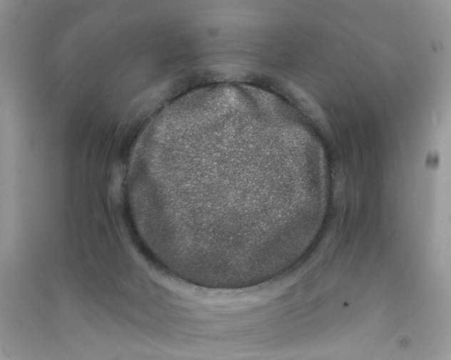 X0000090720026200708171936