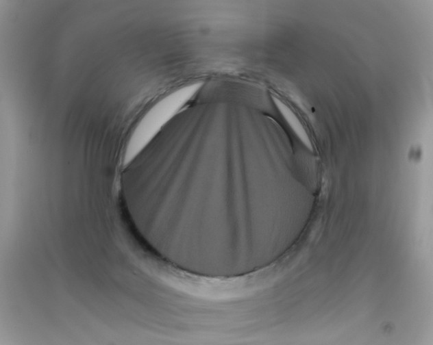 X0000090720027200708171936