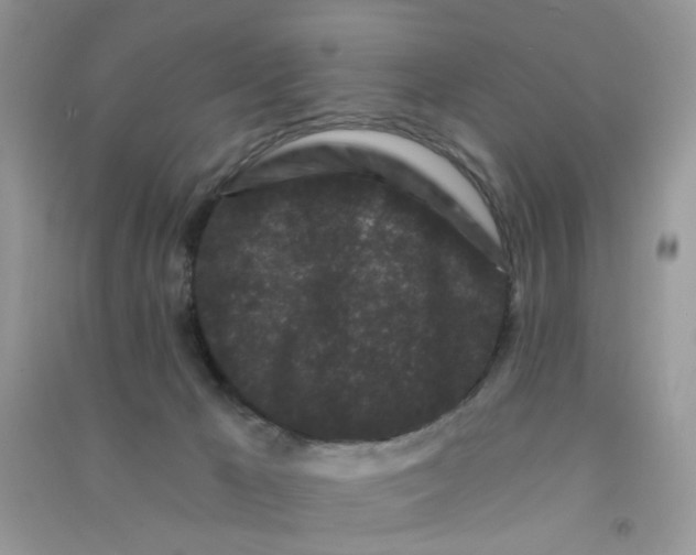 X0000090720029200708171936