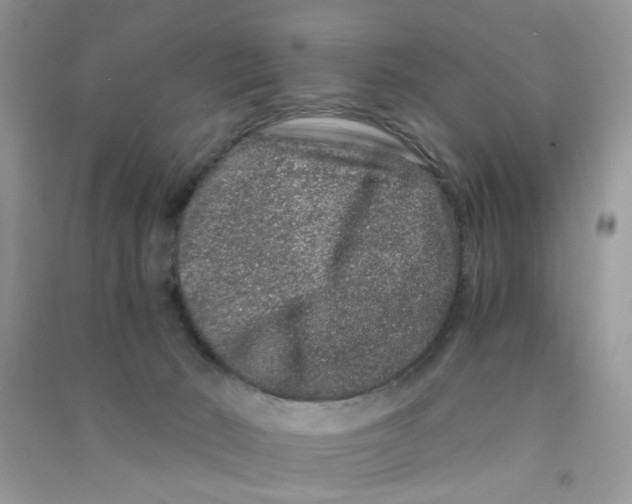 X0000090720030200708171936