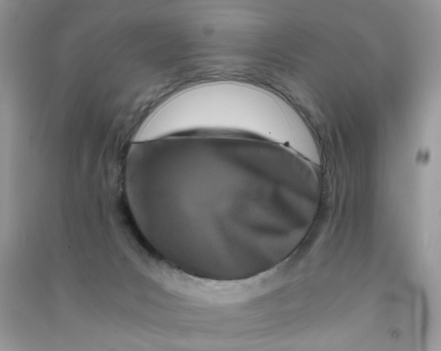 X0000090720031200708171936