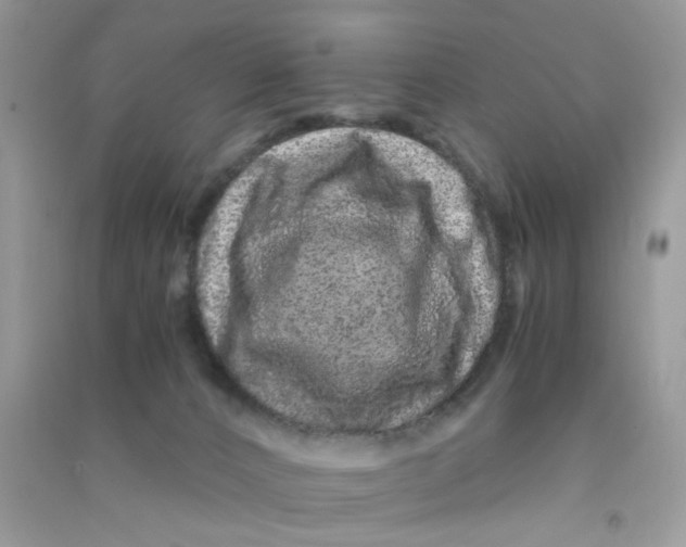 X0000090720032200708171936