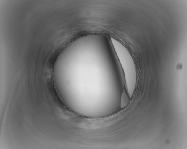 X0000090720033200708171936