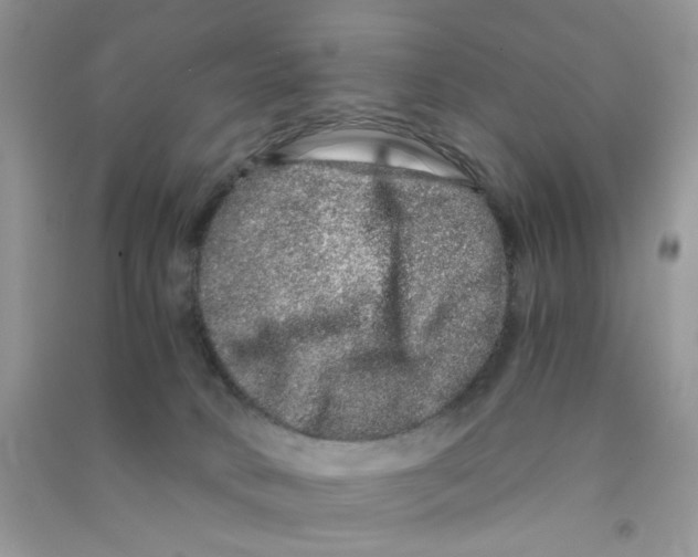 X0000090720034200708171936
