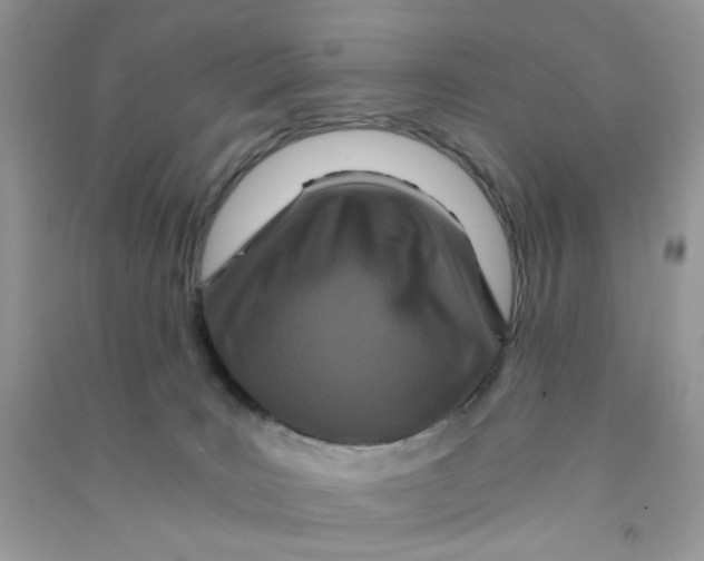 X0000090720035200708171936