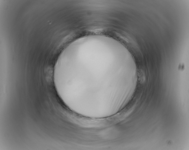 X0000090720036200708171936