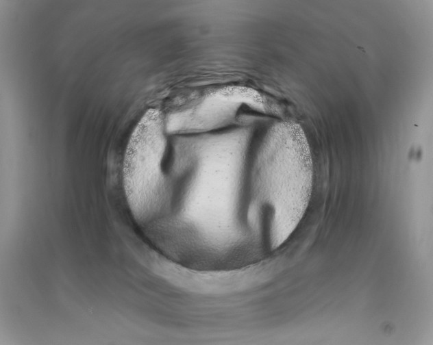X0000090720038200708171936