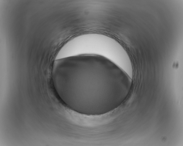 X0000090720039200708171936