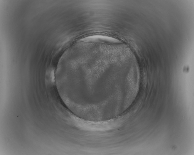 X0000090720042200708171936