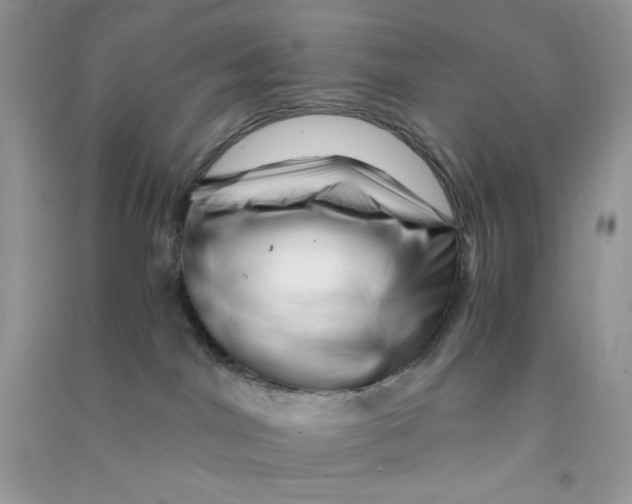X0000090720044200708171935