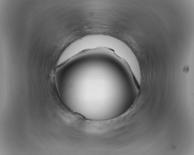 X0000090720045200708171935