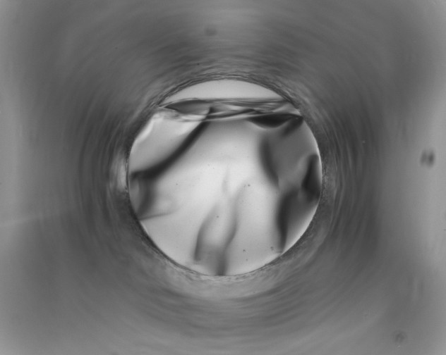 X0000090720046200708171935