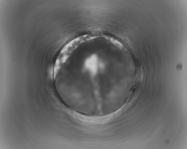 X0000090720047200708171935