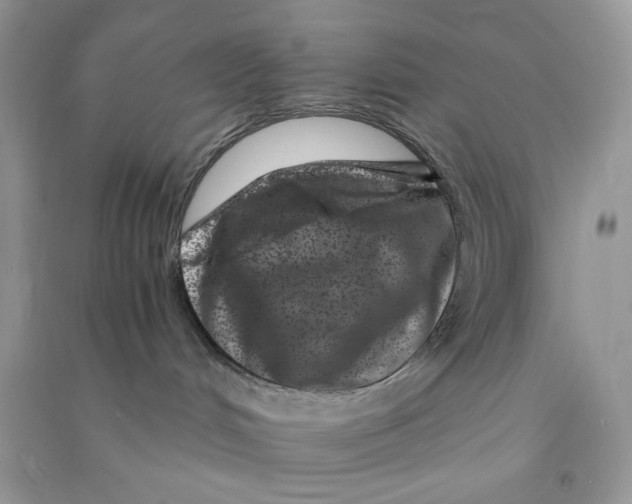 X0000090720048200708171935