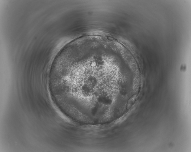 X0000090720049200708171935