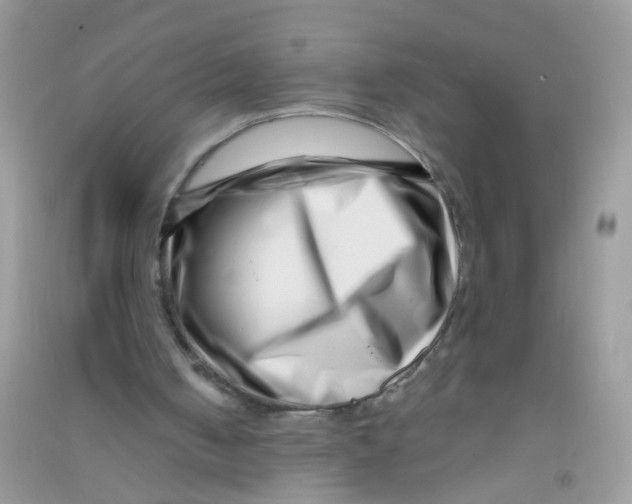 X0000090720050200708171935