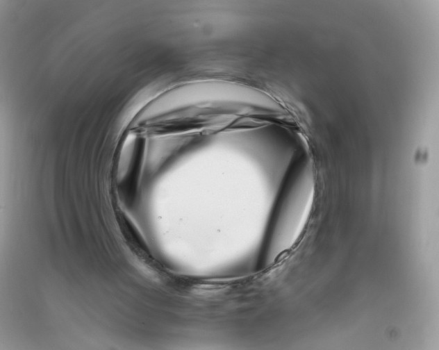 X0000090720051200708171935