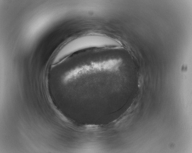 X0000090720052200708171935