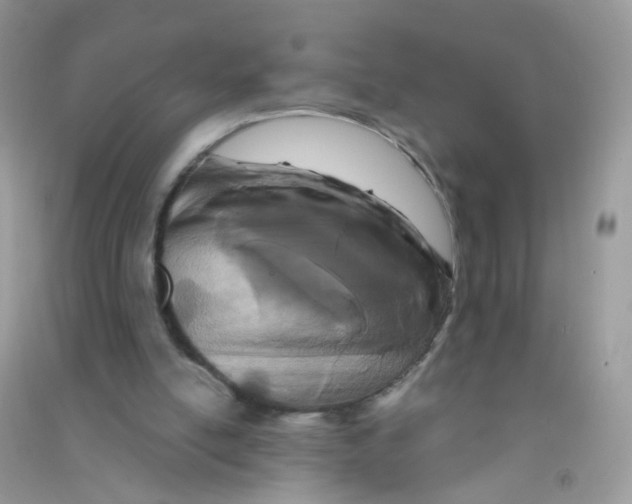 X0000090720054200708171935