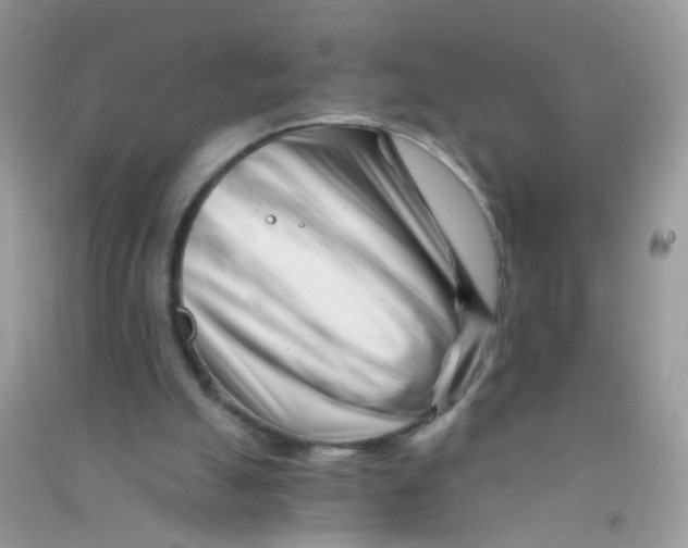 X0000090720055200708171935