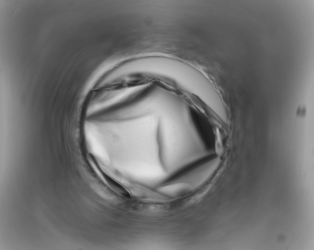 X0000090720056200708171935
