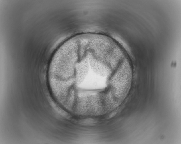 X0000090720058200708171935