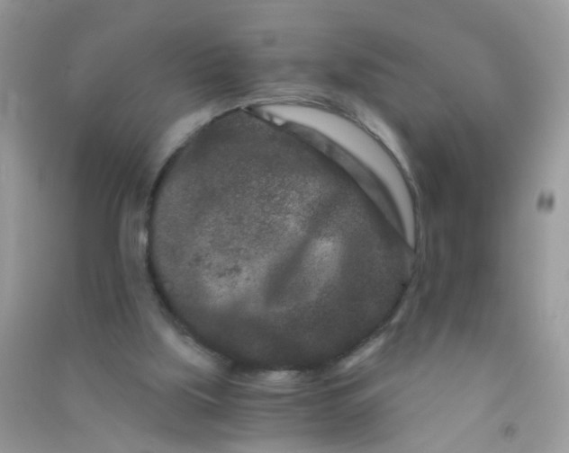 X0000090720059200708171935