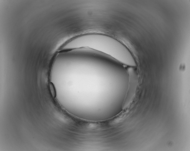 X0000090720060200708171935