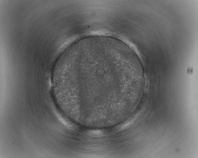 X0000090720061200708171935