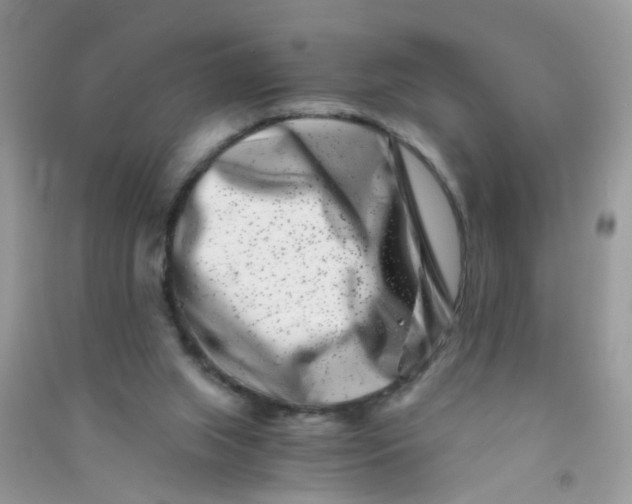 X0000090720063200708171935