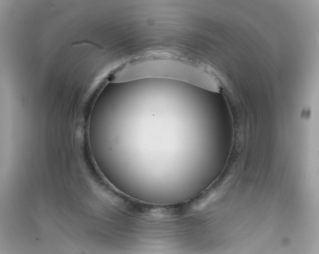 X0000090720064200708171935