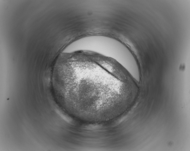 X0000090720065200708171935