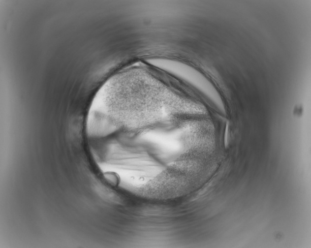 X0000090720066200708171935
