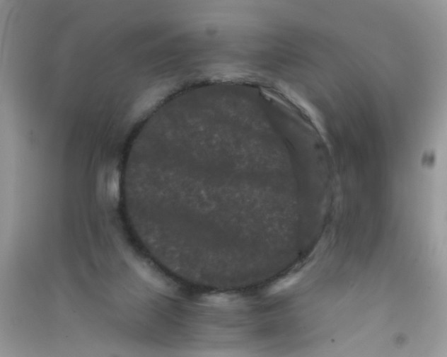 X0000090720067200708171935