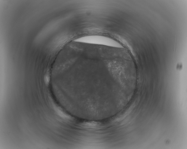 X0000090720069200708171935