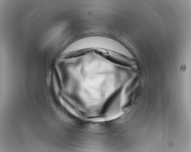 X0000090720070200708171935
