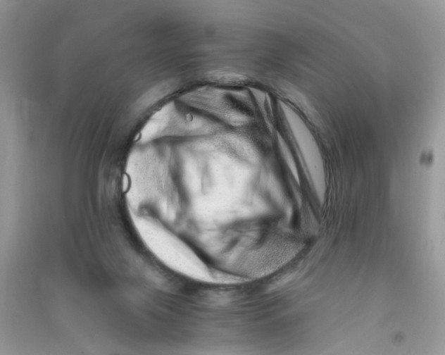 X0000090720071200708171935